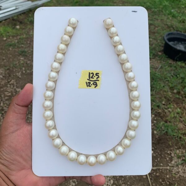 White Saltwater South Sea Pearl Necklace - Image 9