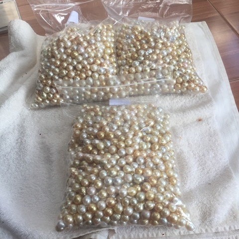 Low Grade South Sea Pearls Package