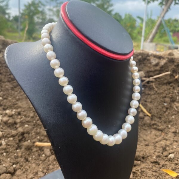 High Grade South Sea Pearl Necklace - Image 2